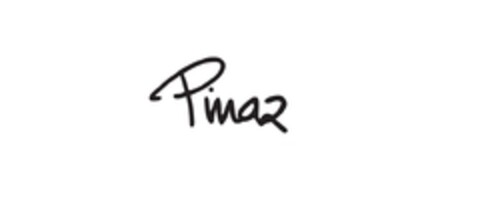 Pinaz Logo (EUIPO, 19.06.2015)