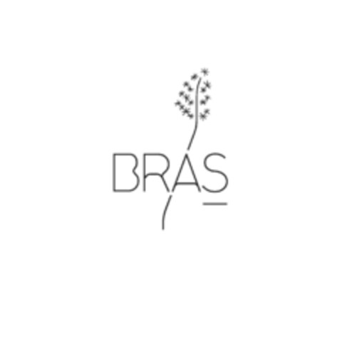 BRAS Logo (EUIPO, 30.12.2015)