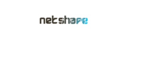 Net Shape Logo (EUIPO, 24.01.2019)