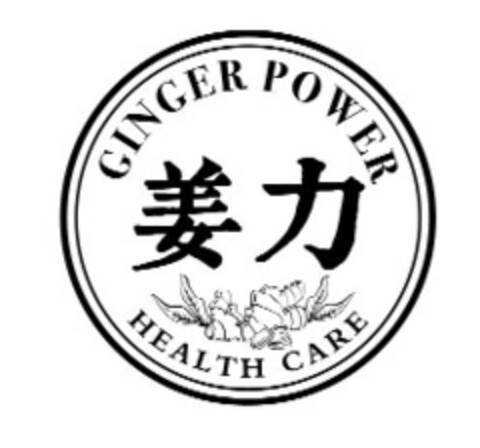 GINGER POWER HEALTH CARE Logo (EUIPO, 31.05.2021)