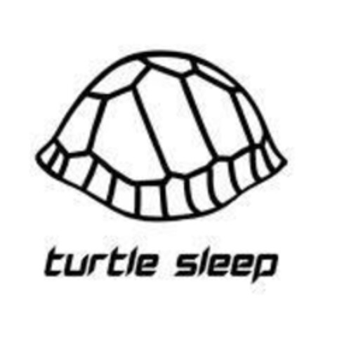turtle sleep Logo (EUIPO, 21.07.2023)