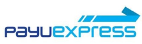 payu express Logo (EUIPO, 18.09.2013)