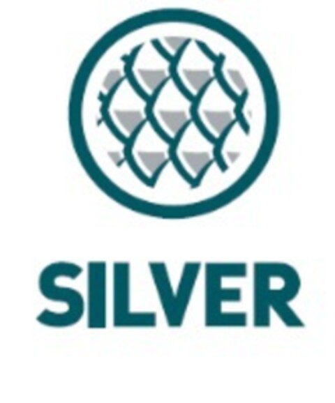 SILVER Logo (EUIPO, 01.06.2015)