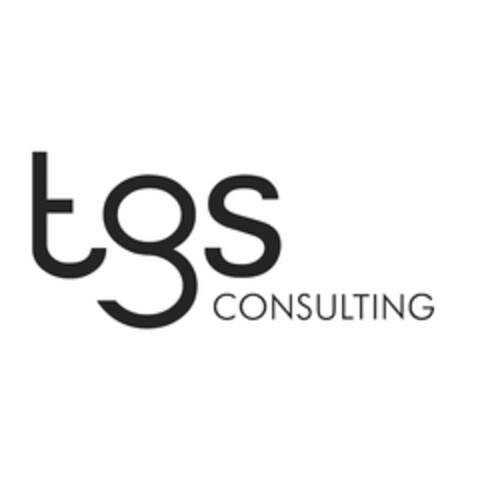 tgs CONSULTING Logo (EUIPO, 26.02.2016)