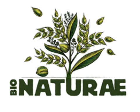 BIO NATURAE Logo (EUIPO, 29.05.2017)