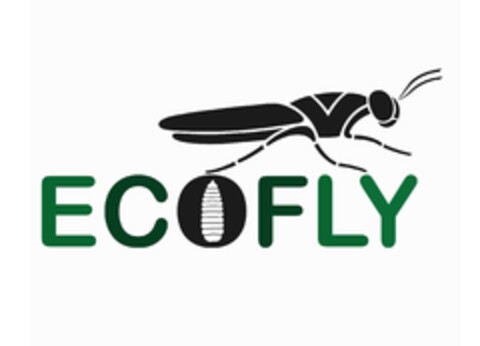 ECOFLY Logo (EUIPO, 04/06/2022)