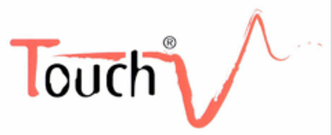 Touch Logo (EUIPO, 06.05.2002)