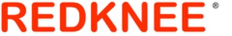 REDKNEE Logo (EUIPO, 01/06/2004)