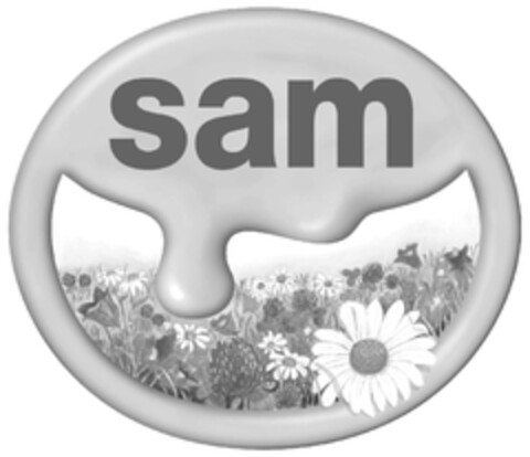 sam Logo (EUIPO, 26.04.2011)