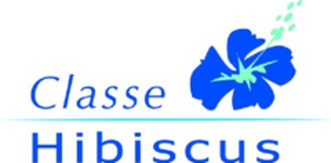 Classe Hibiscus Logo (EUIPO, 29.03.2012)