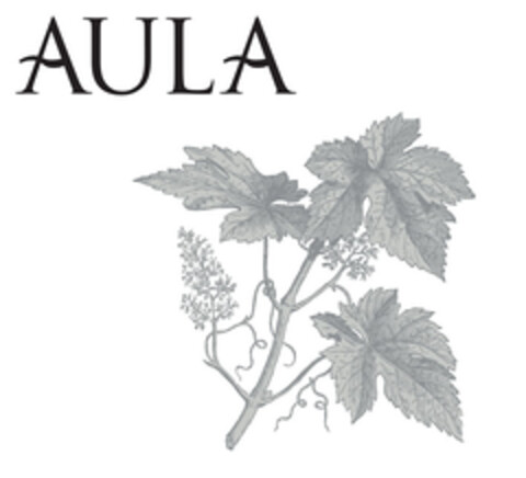 AULA Logo (EUIPO, 03.04.2020)