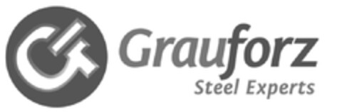 GRAUFORZ STEEL EXPERTS Logo (EUIPO, 10.12.2009)