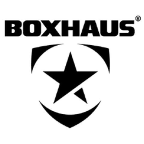 BOXHAUS Logo (EUIPO, 10.11.2010)