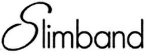 SLIMBAND Logo (EUIPO, 12/12/2012)