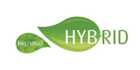 big/small HYBRID Logo (EUIPO, 09.04.2014)