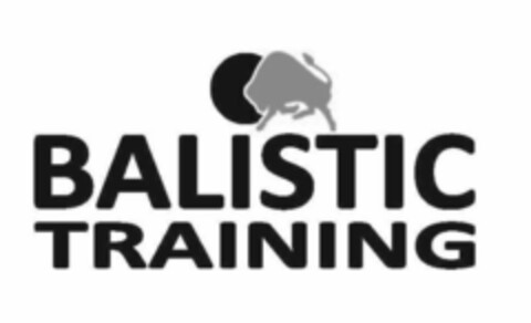 BALISTIC TRAINING Logo (EUIPO, 04.08.2017)