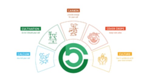 CULTIVATION do not disturb your soil CALCIUM nourish your soil CARBON provide energy for your soil COVER CROPS keep roots alive CULTURE live in symbiosis with your environment Logo (EUIPO, 06/13/2024)