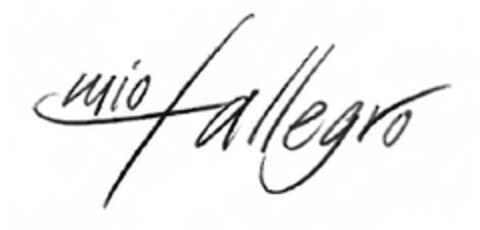 mio fallegro Logo (EUIPO, 19.05.2011)