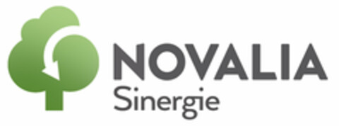 NOVALIA SINERGIE Logo (EUIPO, 26.09.2014)