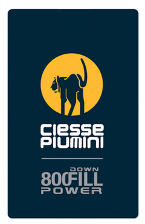 CIESSE PIUMINI DOWN 800 FILL POWER Logo (EUIPO, 19.04.2017)