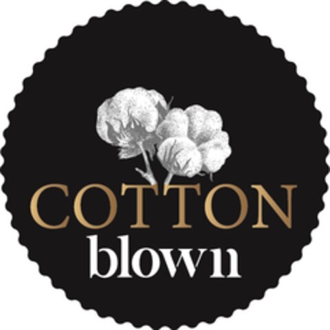 COTTON BLOWN Logo (EUIPO, 30.04.2021)