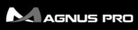 Magnus Pro Logo (EUIPO, 05/09/2022)