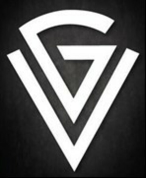 VG Logo (EUIPO, 06/03/2022)