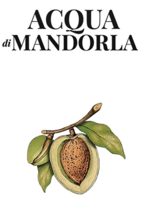 ACQUA di MANDORLA Logo (EUIPO, 04/05/2024)