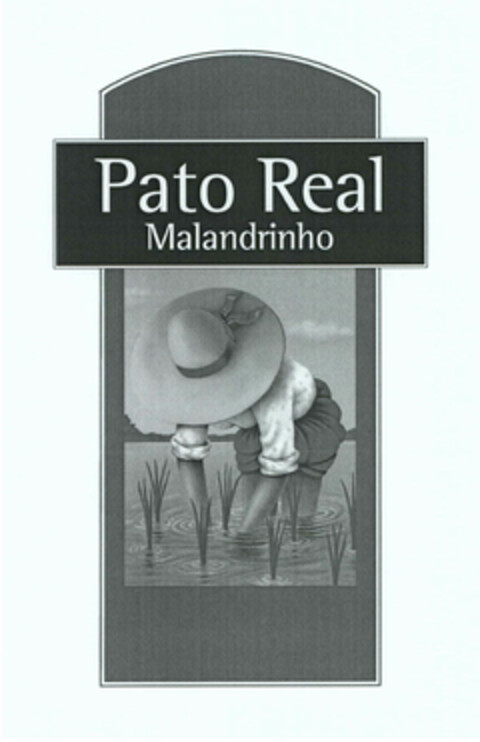 PATO REAL MALANDRINHO Logo (EUIPO, 27.07.2012)