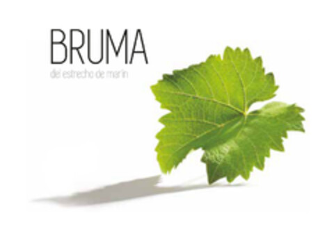 BRUMA del estrecho de marín Logo (EUIPO, 15.09.2015)