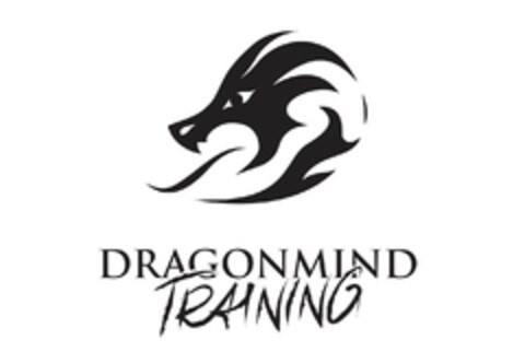 DRAGONMIND TRAINING Logo (EUIPO, 06.11.2020)