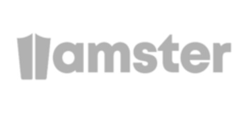 amster Logo (EUIPO, 05/14/2021)