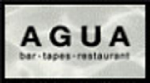 AGUA Logo (EUIPO, 02.02.2004)