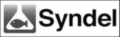 Syndel Logo (EUIPO, 05/15/2019)