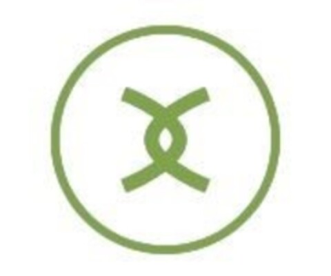 X Logo (EUIPO, 01/26/2021)