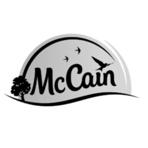 McCain Logo (EUIPO, 27.03.2023)