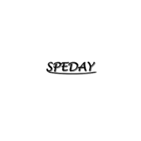 SPEDAY Logo (EUIPO, 13.06.2024)