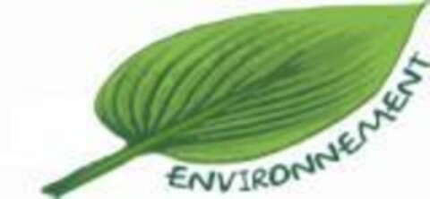 ENVIRONNEMENT Logo (EUIPO, 09/19/2007)