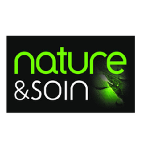 NATURE&SOIN Logo (EUIPO, 17.04.2015)