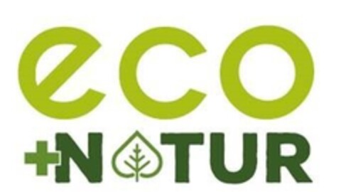 ECO + NATUR Logo (EUIPO, 11/19/2015)