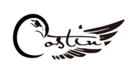 castin Logo (EUIPO, 18.09.2017)