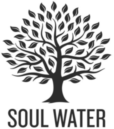 SOUL WATER Logo (EUIPO, 28.02.2020)