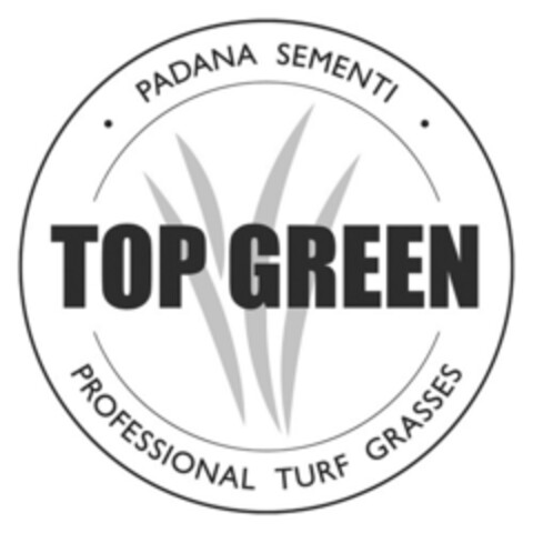 PADANA SEMENTI TOP GREEN PROFESSIONAL TURF GRASSES Logo (EUIPO, 21.12.2021)