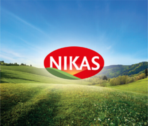 NIKAS Logo (EUIPO, 17.01.2022)