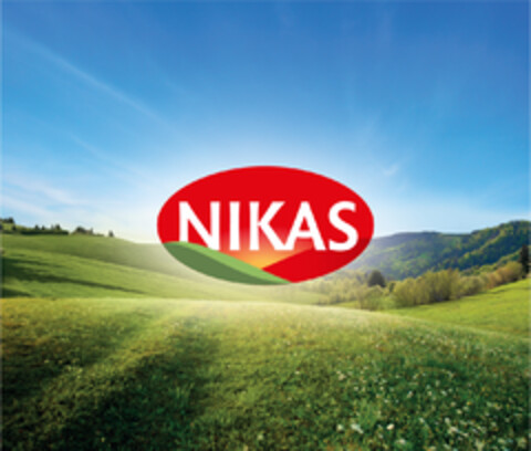 NIKAS Logo (EUIPO, 01/17/2022)