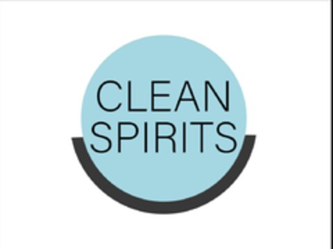 CLEAN SPIRITS Logo (EUIPO, 19.07.2023)