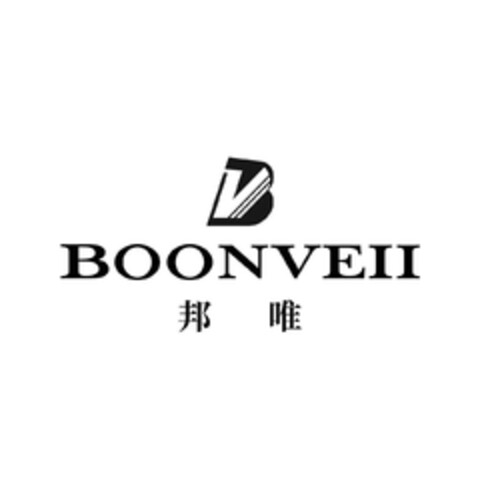 BOONVEII Logo (EUIPO, 12/29/2023)