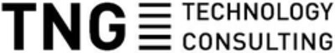 TNG TECHNOLOGY CONSULTING Logo (EUIPO, 02/12/2008)