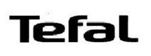 Tefal Logo (EUIPO, 08/18/2009)