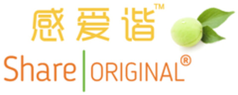 Share-Original Logo (EUIPO, 11/28/2017)